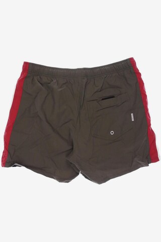 Bogner Fire + Ice Shorts in 34 in Brown
