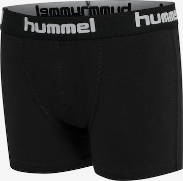 Hummel Underpants 'Nolan' in Blue