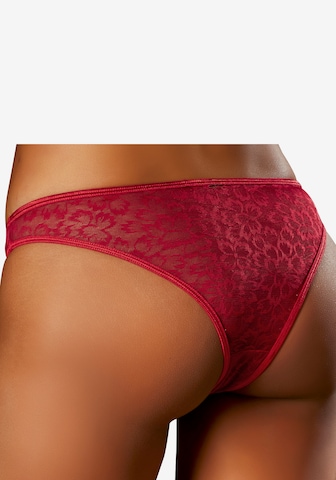 Slip di s.Oliver in rosso