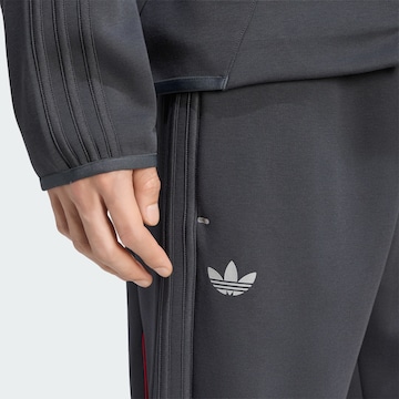 ADIDAS PERFORMANCE Обычный Спортивные штаны 'LFC Teamgeist 26' в Серый