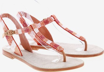 dream Sandals & High-Heeled Sandals in 36 in Mixed colors: front