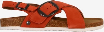 Sandalo di terre de marins in rosso: frontale