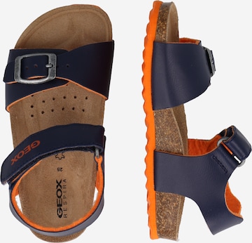 GEOX Sandals & Slippers 'Ghita' in Blue