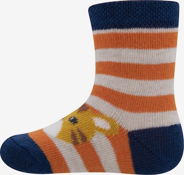 EWERS Socks in Mixed colors