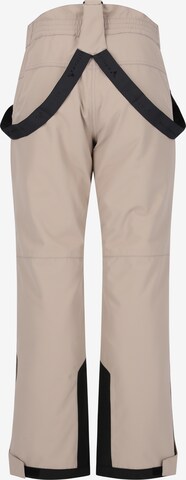 Whistler Regular Workout Pants 'Drizzle' in Brown
