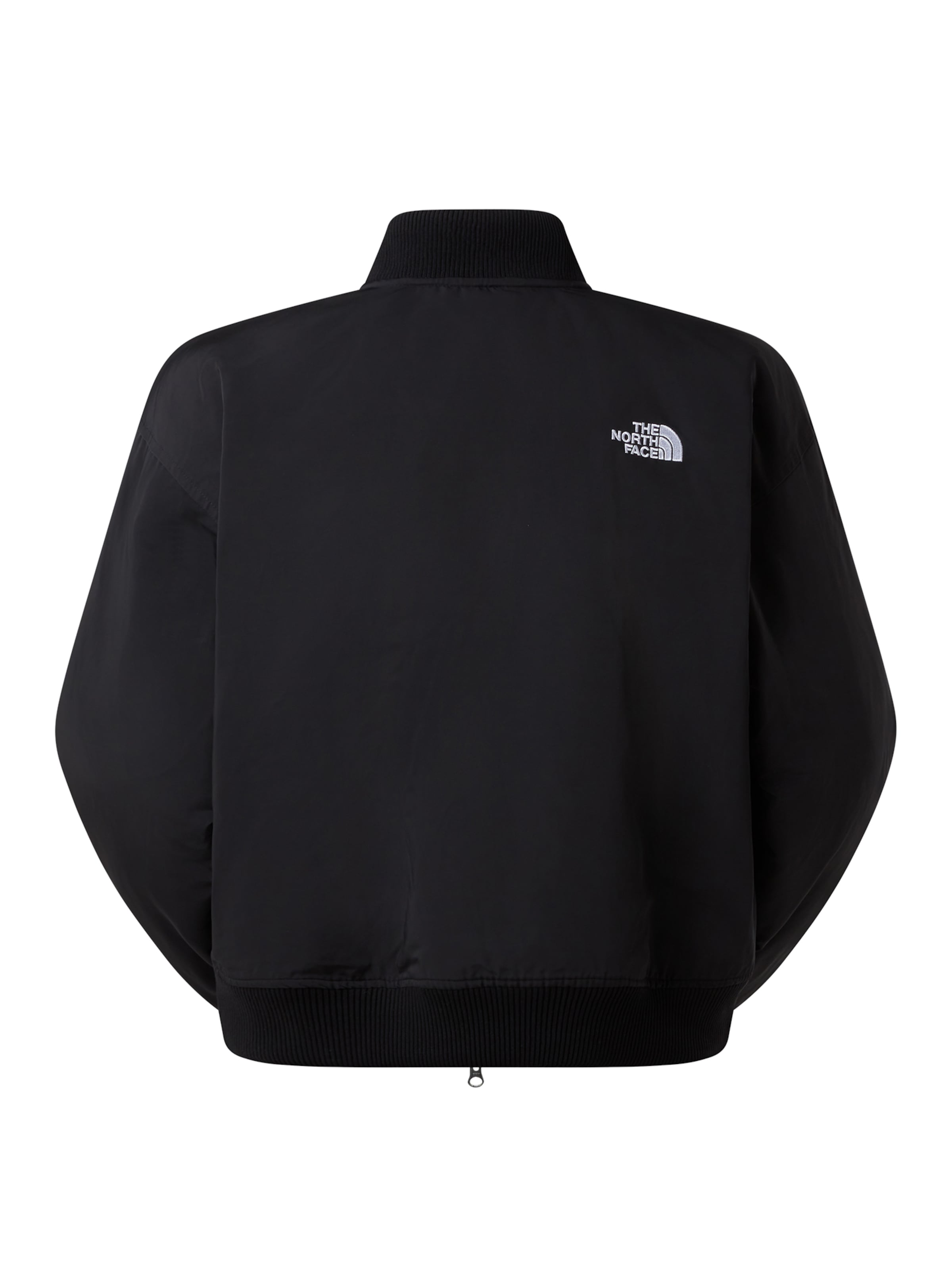 THE NORTH FACE Демисезонная куртка в Черный