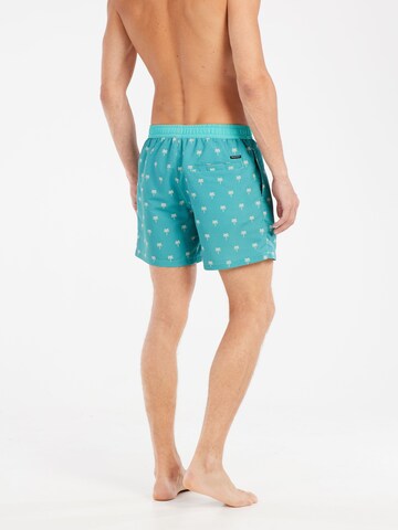 PROTEST Badeshorts 'PRTParco' in Grün