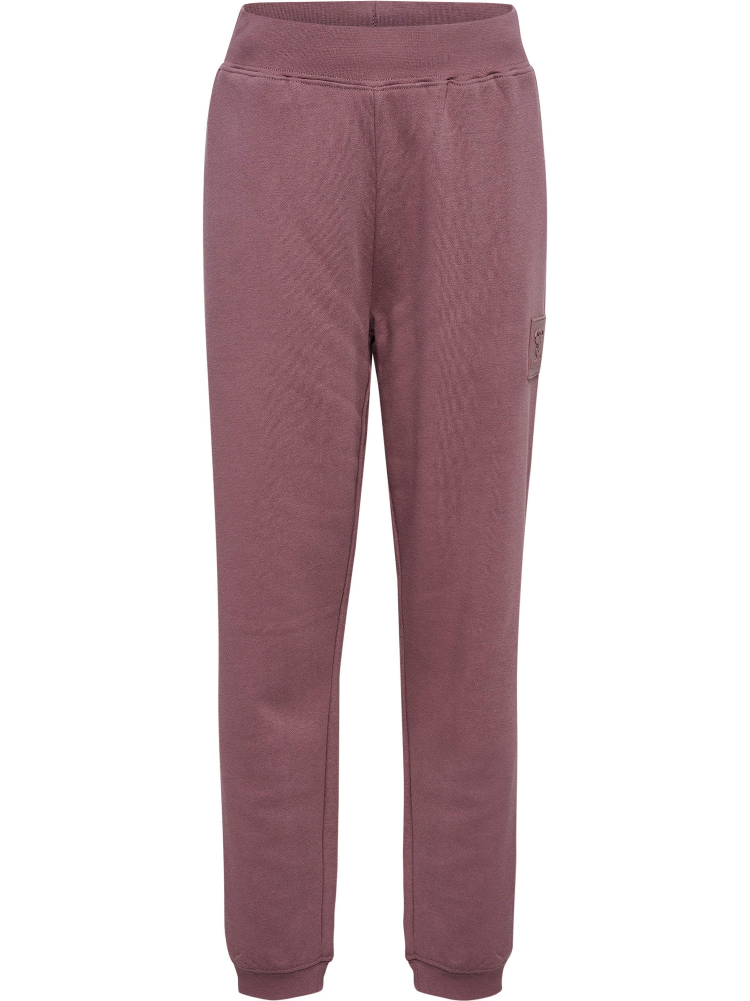 Hummel Sports trousers in Purple: front