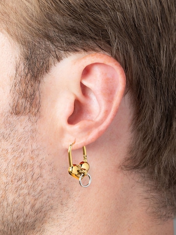 YParis Earrings 'Boucle Passion Bi' in Gold