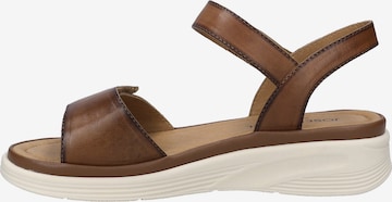 JOSEF SEIBEL Sandale in Braun: Vorderseite