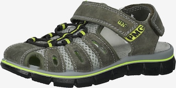 PRIMIGI Sandals & Slippers in Green: front