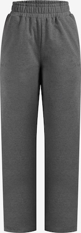 Pantalon ' Kanya ' Smilodox en gris : devant