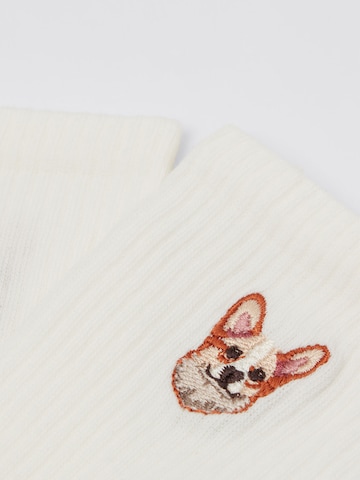 CALZEDONIA Socks 'Dog' in White