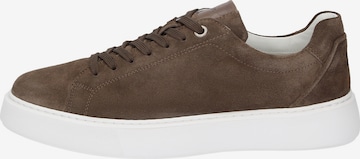 SIOUX Sneakers laag '003' in Bruin