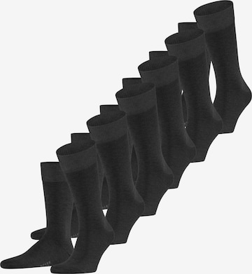 FALKE Socken 'Happy 6-Pack' in Grau: Vorderseite