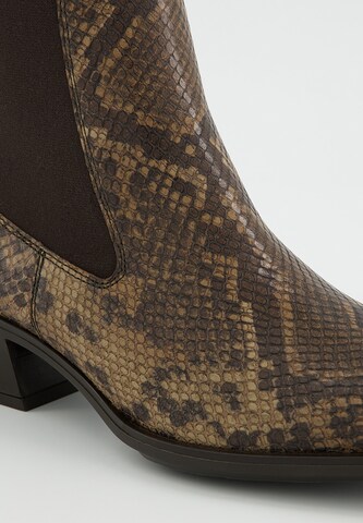 Paul Green Stiefelette in Braun