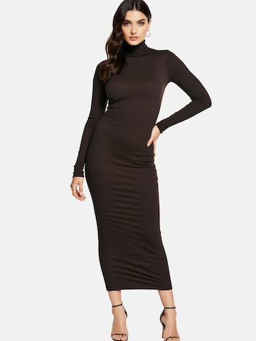 PANTHEROAR Pletena obleka 'High Neck Long Dress' | rjava barva
