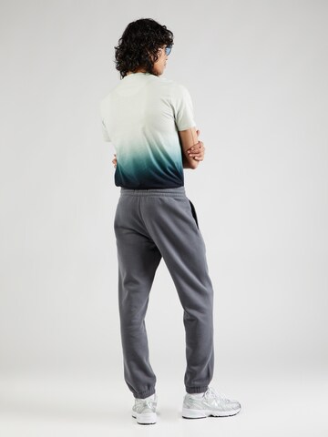 HOLLISTER Tapered Pants in Grey