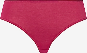 Hanro Midislip ' Cotton Seamless ' in Pink: Vorderseite