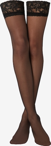 CALZEDONIA Feinstrümpfe in Schwarz: Vorderseite