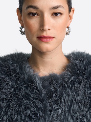 zils Rich & Royal Starpsezonu jaka