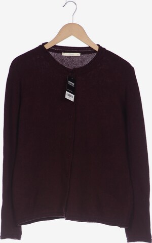 Maas Sweater & Cardigan in L in Brown: front
