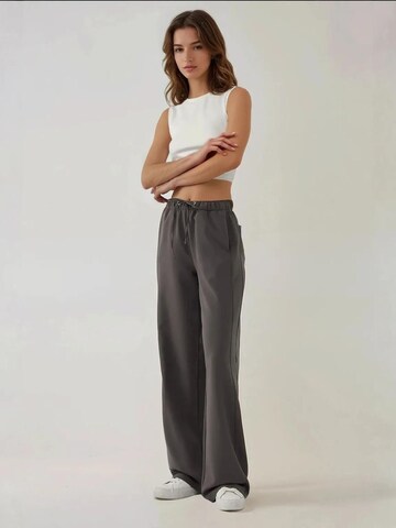 Hiccup Loosefit Hose in Grau