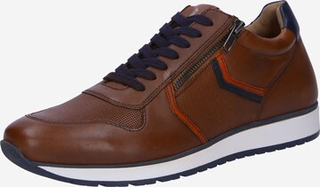 Guido Maria Kretschmer Men Sneakers laag in Bruin: voorkant