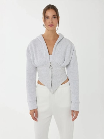 Hiccup Zip-Up Hoodie in Grey: front