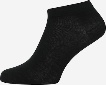 Chaussettes Lindex en noir : devant