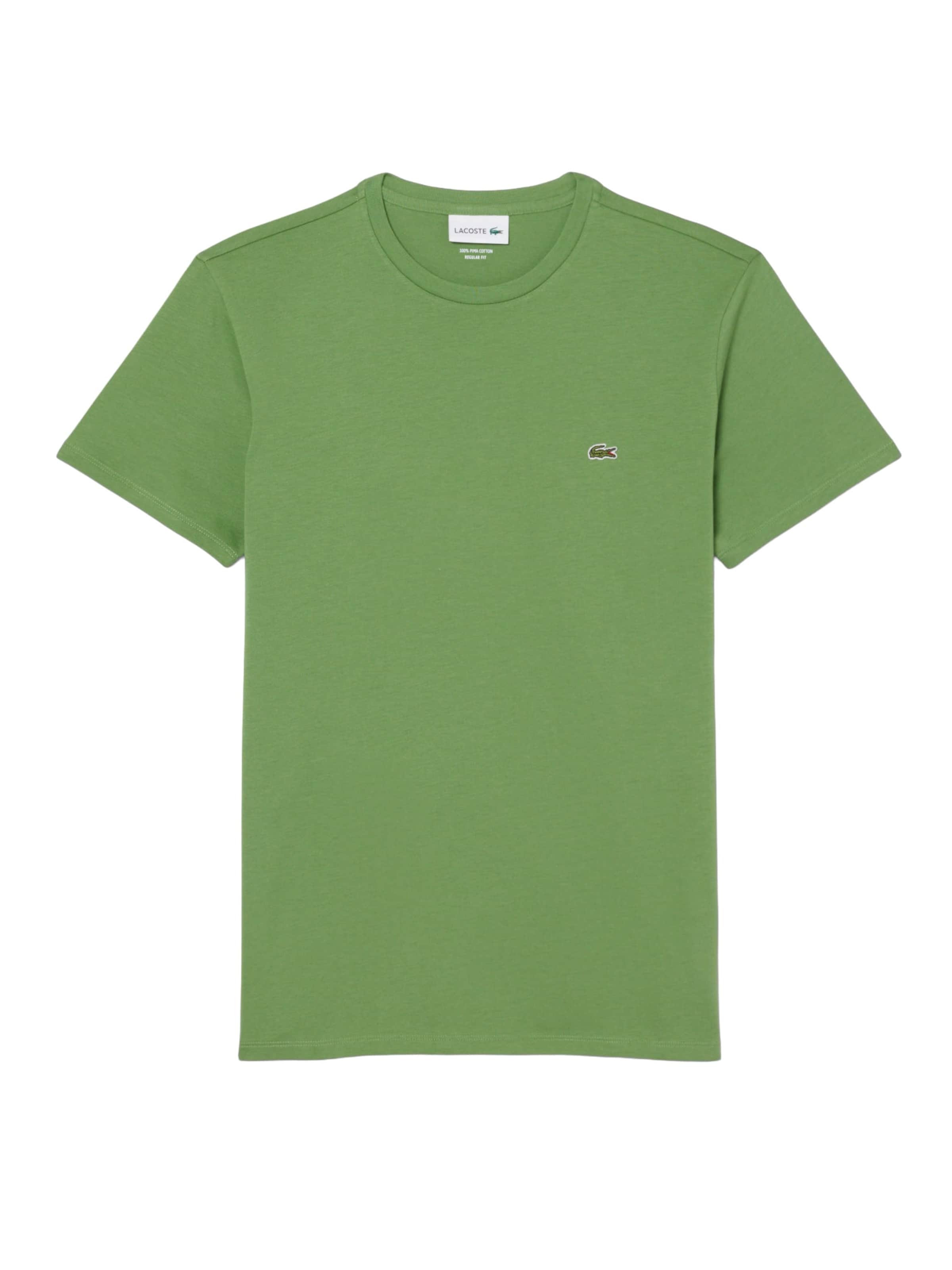Maglietta di LACOSTE in verde: frontale