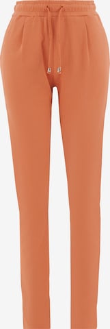 Organication Pleat-Front Pants in Orange: front
