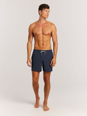 PROTEST Zwemshorts 'Davey' in Blauw