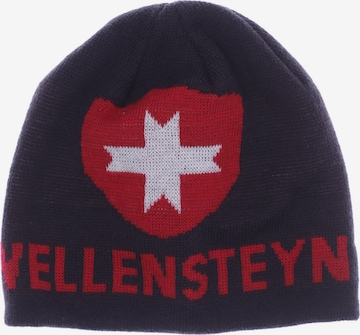 Wellensteyn Hut oder Mütze One Size in Braun: predná strana