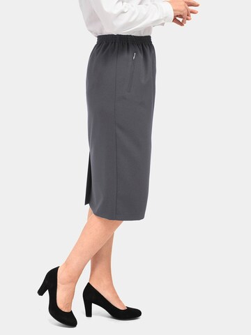 Goldner Skirt in Grey