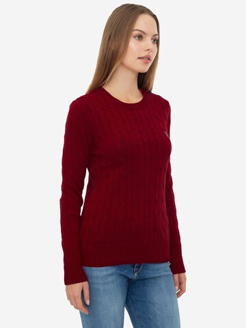 Sir Raymond Tailor Pullover 'İgor' in Rot