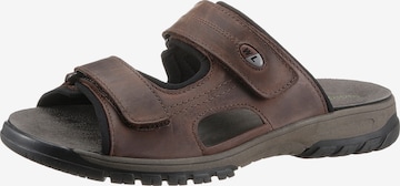 WALDLÄUFER Pantolette in Braun: Vorderseite