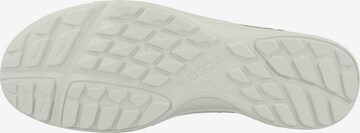 ECCO Sneakers laag 'Terracruise' in Groen