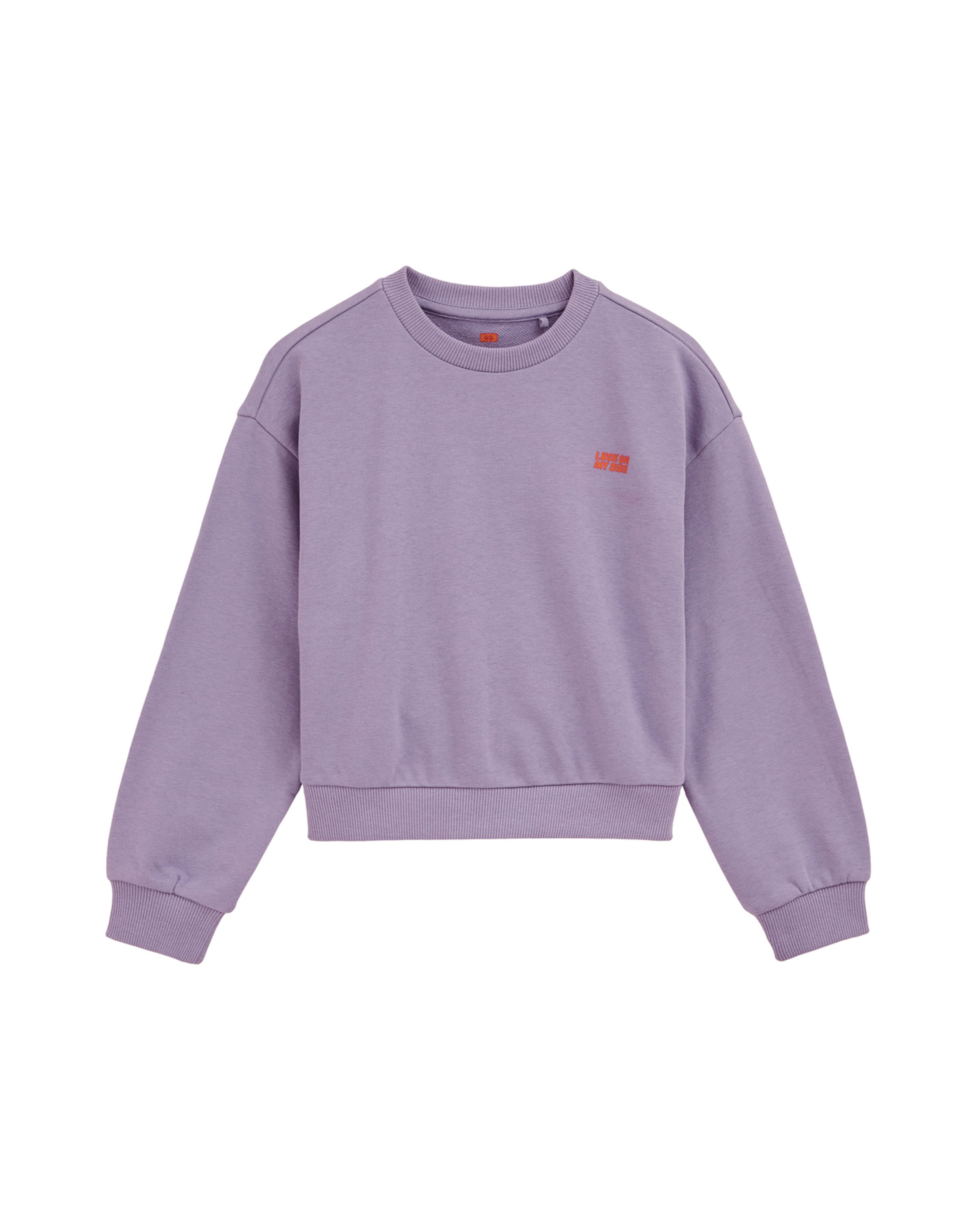 WE Fashion Sweatshirt in Purple: front