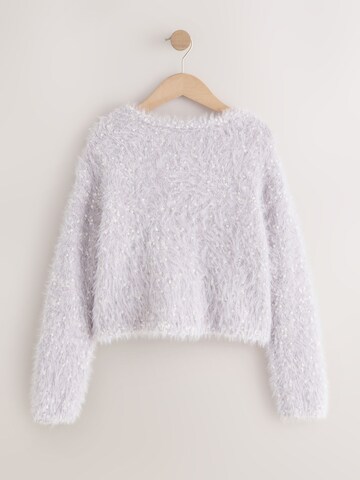 Next Pullover in Grau