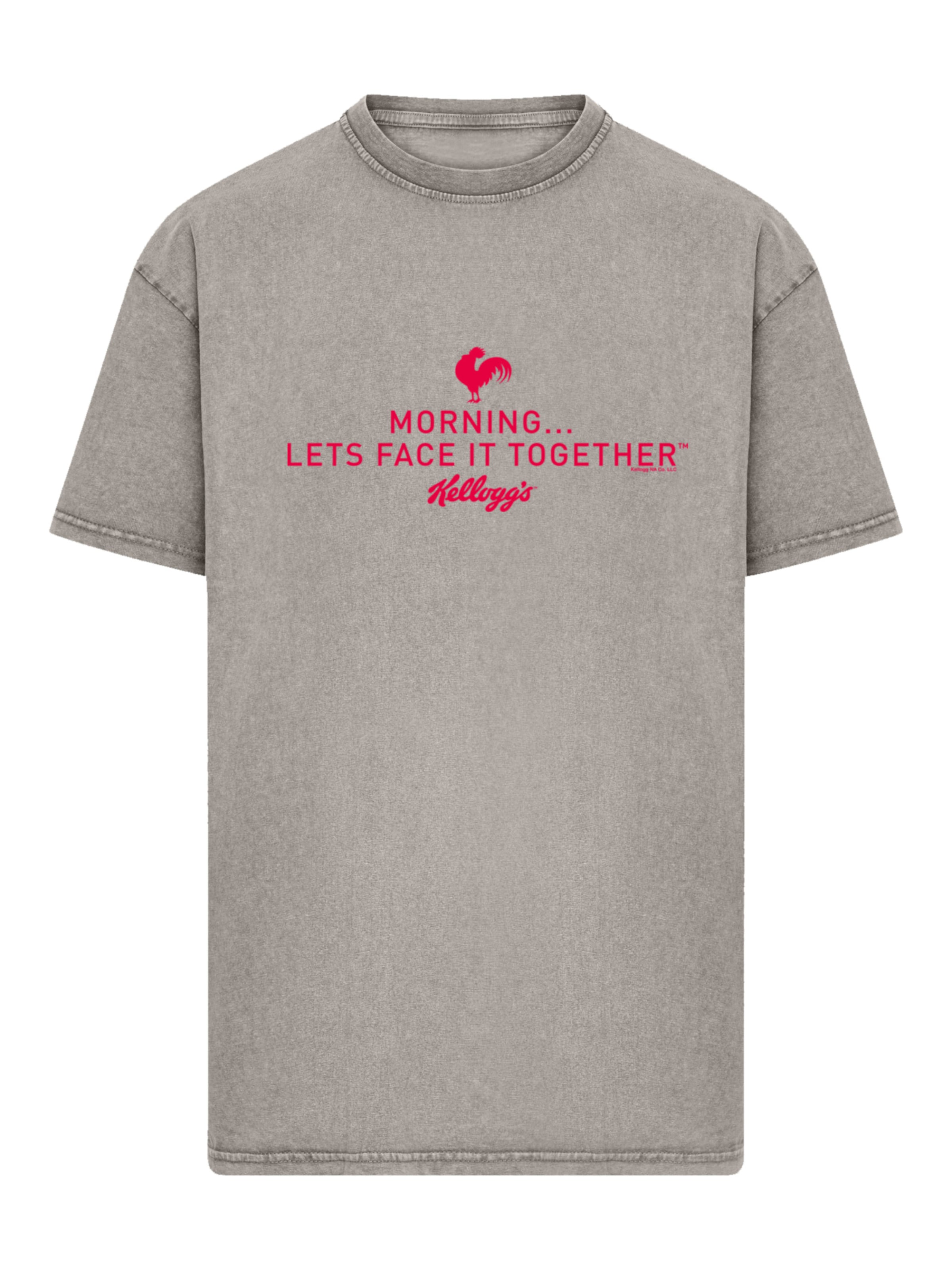 F4NT4STIC Shirt in Grey: front
