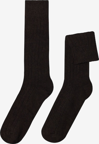 CALZEDONIA Socken in Braun: Vorderseite
