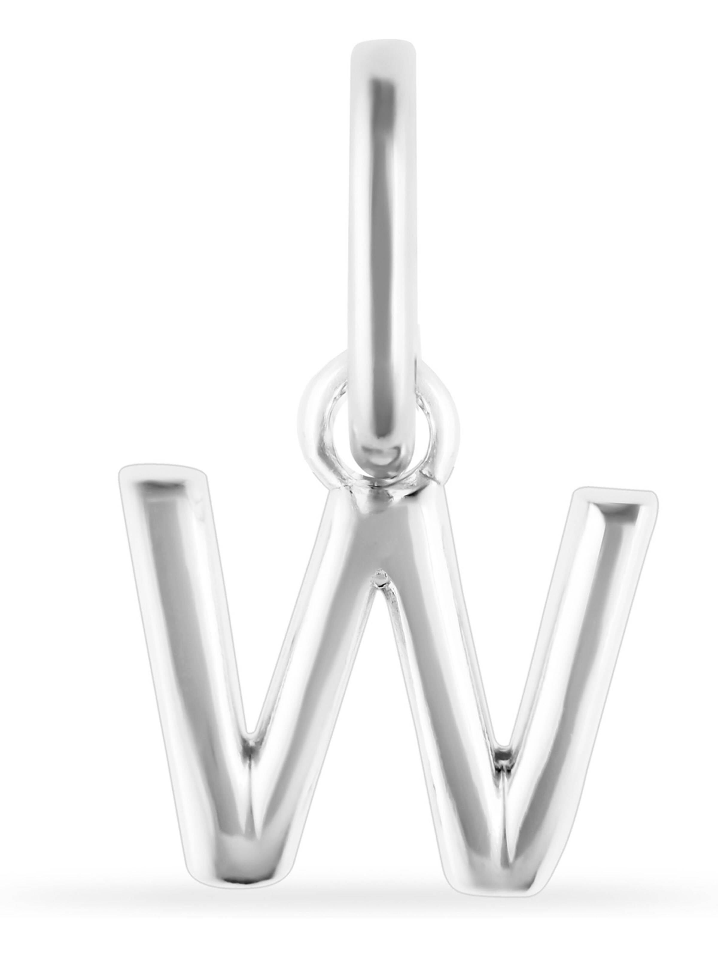 FAVS Anhänger in Silber: Vorderseite