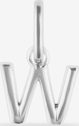 FAVS Anhänger in Silber: Vorderseite