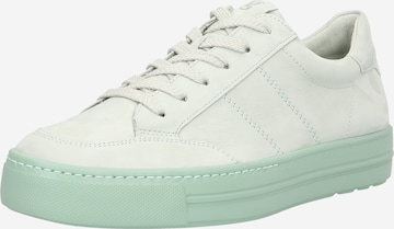 Paul Green Sneakers in Green: front