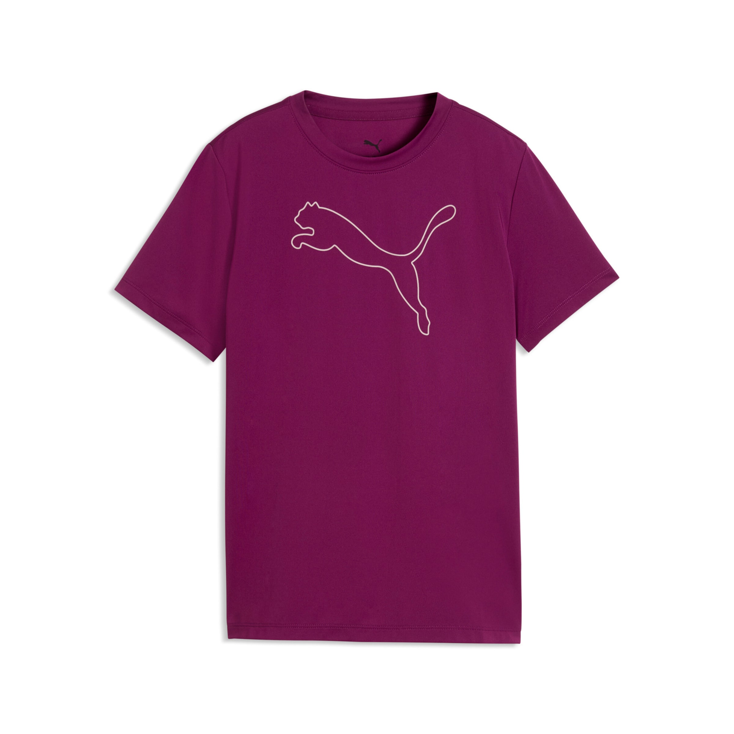 PUMA Performance Shirt in Purple: front