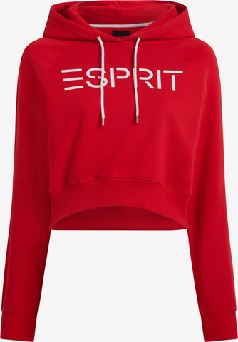 ESPRIT Sweatshirt in Rot: predná strana