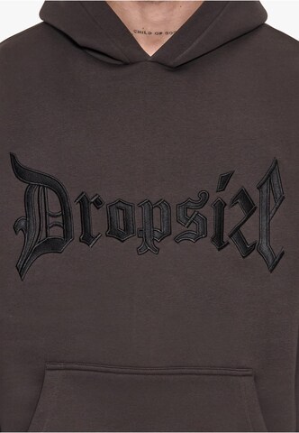 Dropsize Sweatshirt in Braun