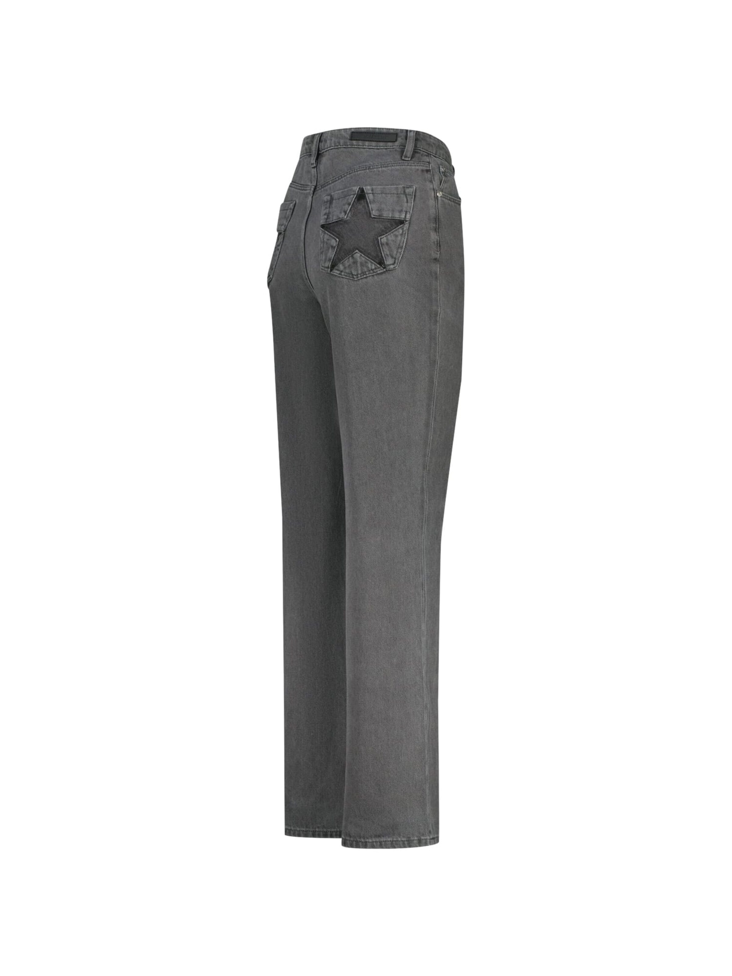 Raizzed Baggy Jeans in Grijs