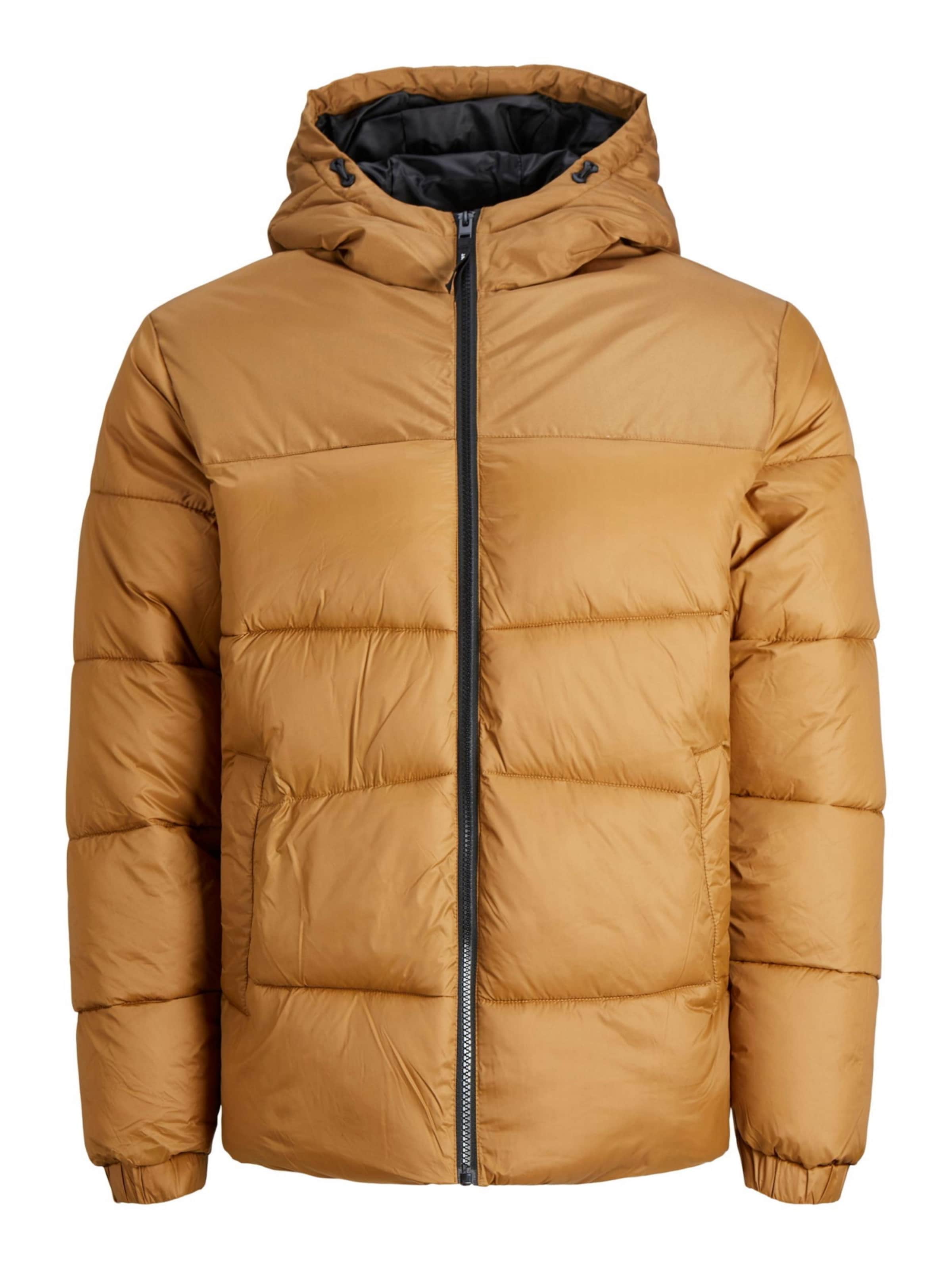 JACK & JONES Winter jacket 'Chili' in Brown: front